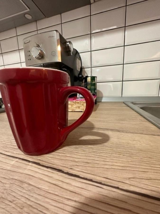 Escape Lounge Apartment Craiova Ngoại thất bức ảnh